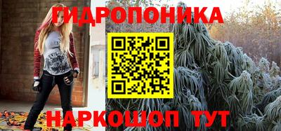 ГАЛЛЮЦИНОГЕННЫЕ ГРИБЫ Кинель