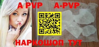 молекула духа Кингисепп