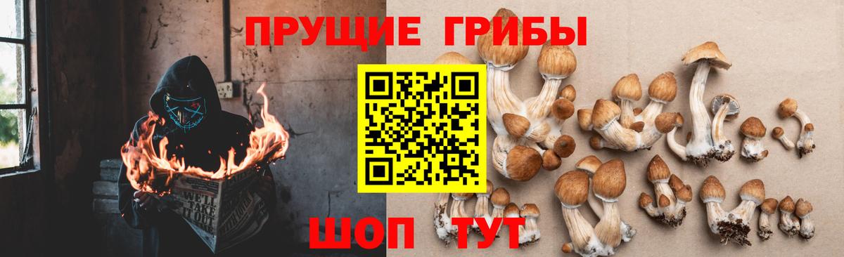 Галлюциногенные грибы прущие грибы  Вход с VPN  купить закладку  Псилоцибиновые грибы мухоморы  Коммунар 