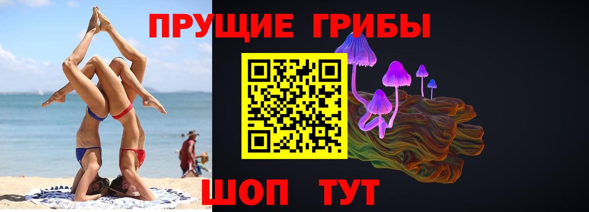 Галлюциногенные грибы GOLDEN TEACHER Коммунар